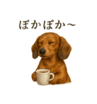 【癒し】ミニチュアダックスフンドカフェ（個別スタンプ：9）