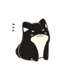 誠実なクロしばくん その4（個別スタンプ：3）