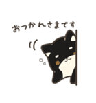 誠実なクロしばくん その4（個別スタンプ：4）