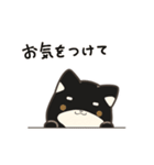 誠実なクロしばくん その4（個別スタンプ：5）