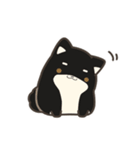 誠実なクロしばくん その4（個別スタンプ：7）