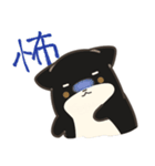 誠実なクロしばくん その4（個別スタンプ：17）