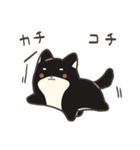 誠実なクロしばくん その4（個別スタンプ：28）