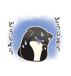 誠実なクロしばくん その4（個別スタンプ：31）