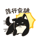 誠実なクロしばくん その4（個別スタンプ：33）