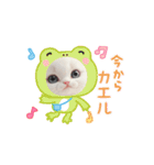 oirann40（個別スタンプ：7）