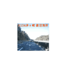 湘南に来てます！（個別スタンプ：16）