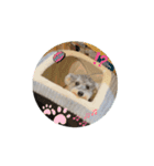 ショコラ コレクション（個別スタンプ：4）