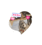ショコラ コレクション（個別スタンプ：10）
