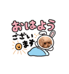 愛犬❤️ココアスタンプ✨（個別スタンプ：7）