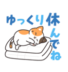 見やすいデカ文字♪きゅるんとミケちゃん（個別スタンプ：11）