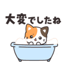 見やすいデカ文字♪きゅるんとミケちゃん（個別スタンプ：20）
