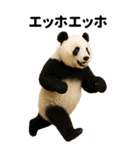 エッホエッホ BIGな動物園 伝えなきゃ（個別スタンプ：4）