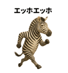 エッホエッホ BIGな動物園 伝えなきゃ（個別スタンプ：7）