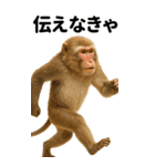 エッホエッホ BIGな動物園 伝えなきゃ（個別スタンプ：13）