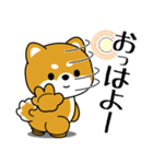 飛び出す！いつでも使える豆柴（個別スタンプ：2）