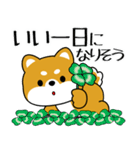 飛び出す！いつでも使える豆柴（個別スタンプ：3）