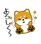 飛び出す！いつでも使える豆柴（個別スタンプ：6）