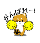 飛び出す！いつでも使える豆柴（個別スタンプ：9）