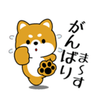 飛び出す！いつでも使える豆柴（個別スタンプ：10）