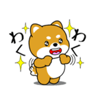飛び出す！いつでも使える豆柴（個別スタンプ：14）