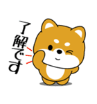 飛び出す！いつでも使える豆柴（個別スタンプ：15）
