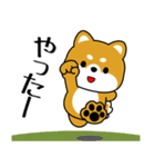 飛び出す！いつでも使える豆柴（個別スタンプ：17）