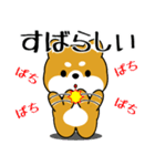 飛び出す！いつでも使える豆柴（個別スタンプ：18）