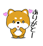 飛び出す！いつでも使える豆柴（個別スタンプ：20）