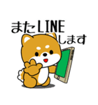 飛び出す！いつでも使える豆柴（個別スタンプ：22）