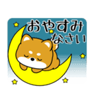 飛び出す！いつでも使える豆柴（個別スタンプ：23）