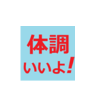 シニア専用 デカ文字ラインスタンプ（個別スタンプ：23）