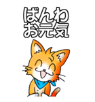オレンジ色の猫 その1（基本）（個別スタンプ：3）