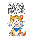 オレンジ色の猫 その1（基本）（個別スタンプ：16）