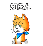 オレンジ色の猫 その1（基本）（個別スタンプ：20）