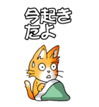 オレンジ色の猫 その1（基本）（個別スタンプ：33）