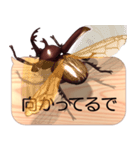 スマホの上のカブトムシ7《関西弁》（個別スタンプ：8）