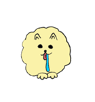 気ままなポメラニアンさん【英語】（個別スタンプ：12）