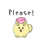気ままなポメラニアンさん【英語】（個別スタンプ：32）