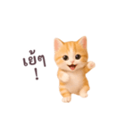 動く！ニャンコ日和（タイ版）（個別スタンプ：13）
