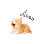 動く！ニャンコ日和（タイ版）（個別スタンプ：22）