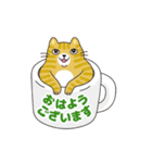 敬語でオトナにゃんこたちの動くスタンプ（個別スタンプ：1）