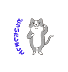 敬語でオトナにゃんこたちの動くスタンプ（個別スタンプ：14）