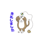 敬語でオトナにゃんこたちの動くスタンプ（個別スタンプ：19）