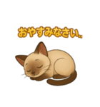 シャム猫の日常スタンプ（個別スタンプ：4）