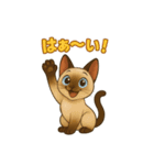 シャム猫の日常スタンプ（個別スタンプ：5）