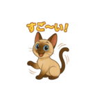 シャム猫の日常スタンプ（個別スタンプ：6）