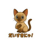 シャム猫の日常スタンプ（個別スタンプ：9）