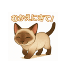 シャム猫の日常スタンプ（個別スタンプ：12）