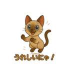 シャム猫の日常スタンプ（個別スタンプ：13）